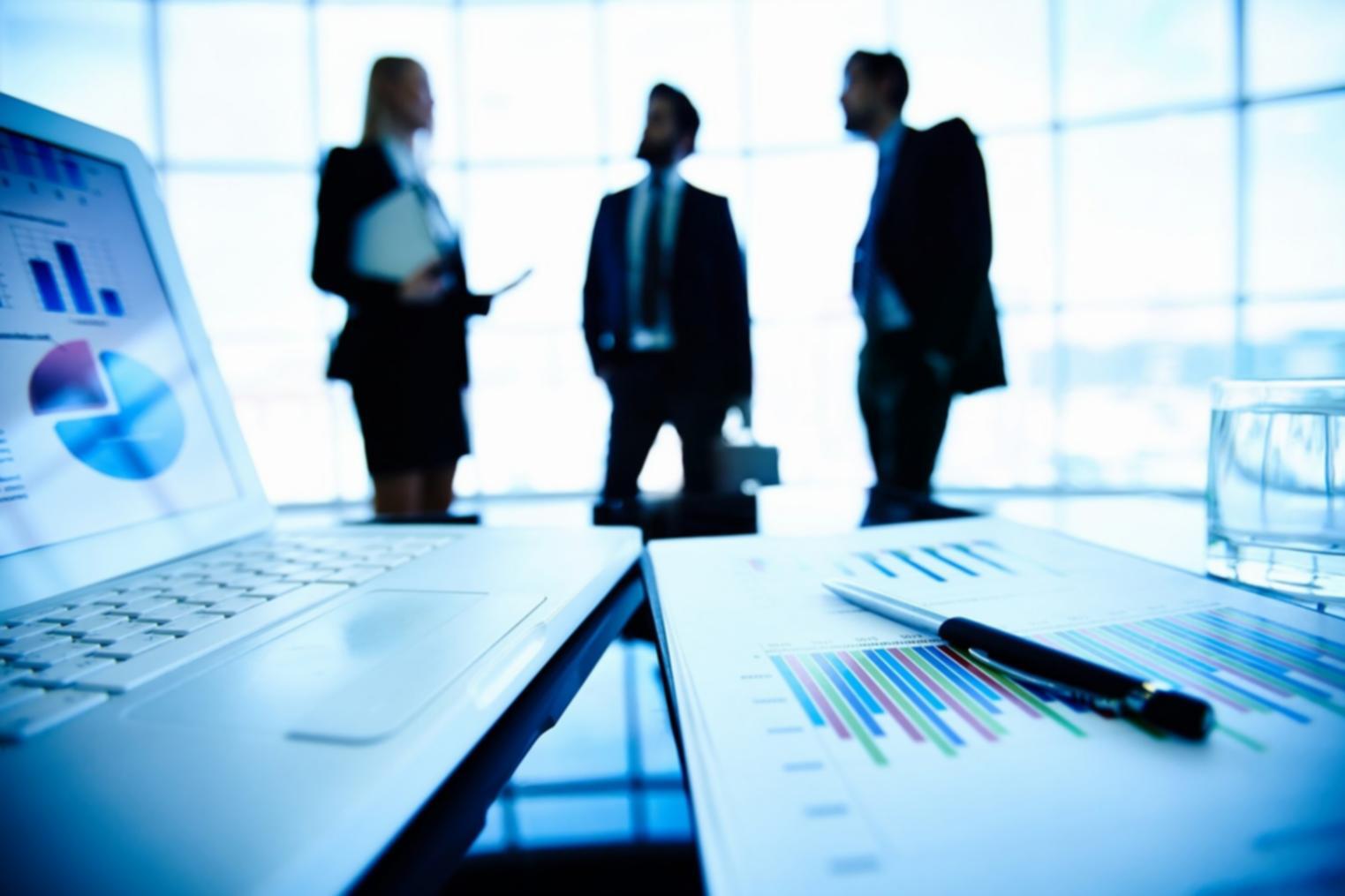 Business concept presentation showing market research and financial projections